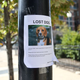Illustration for article titled ‘Lost Dog’ Poster Really Tooting Dog’s Horn
